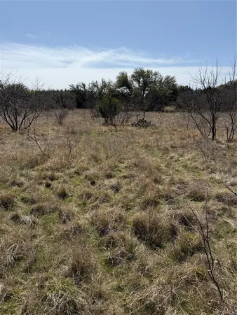 a view of a dry yard with trees in the background