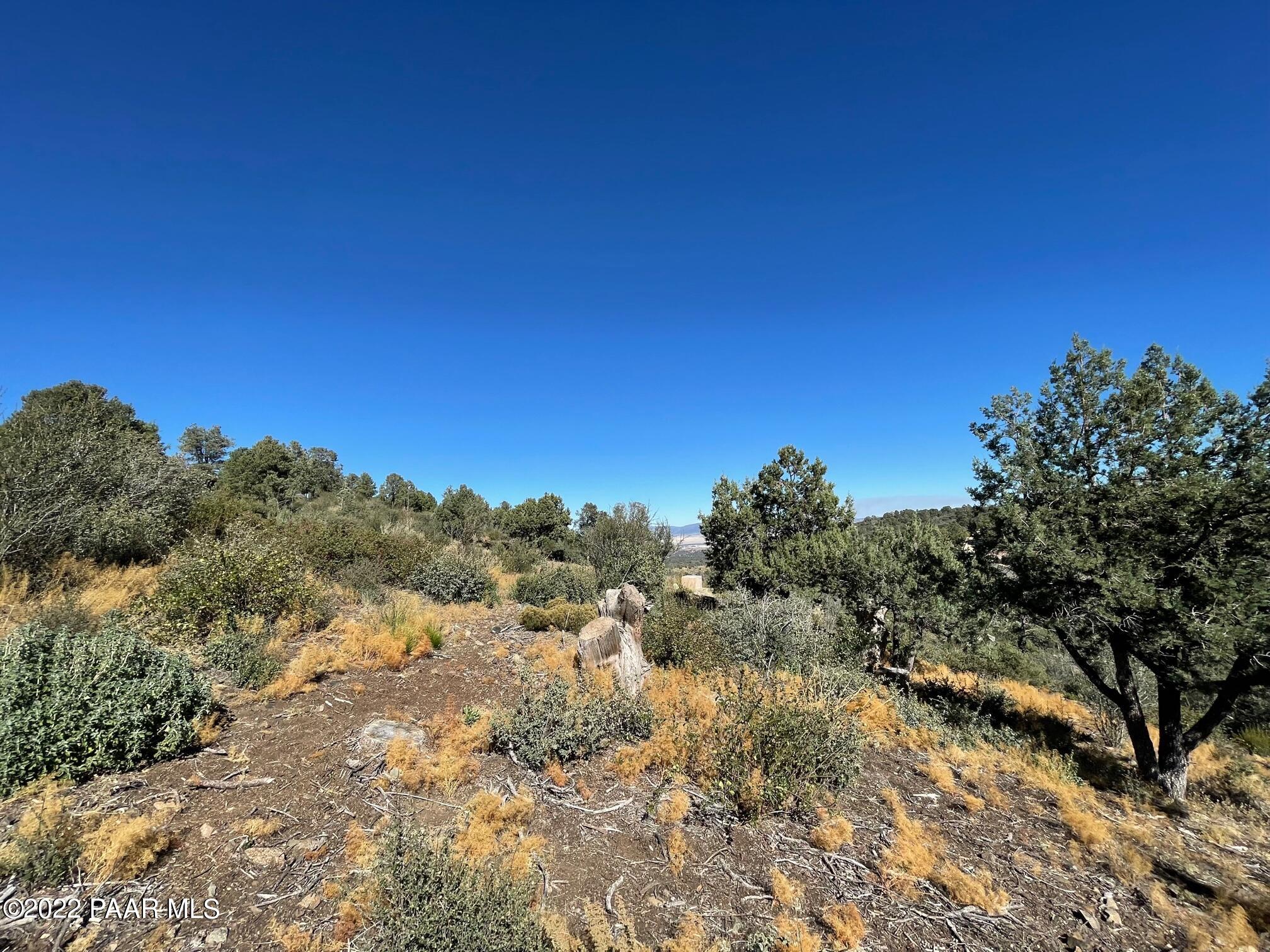 3184 Rainbow Ridge Drive Prescott, AZ 86303 - Photo 11 of 16 a view of a large tree with a mountain in the background