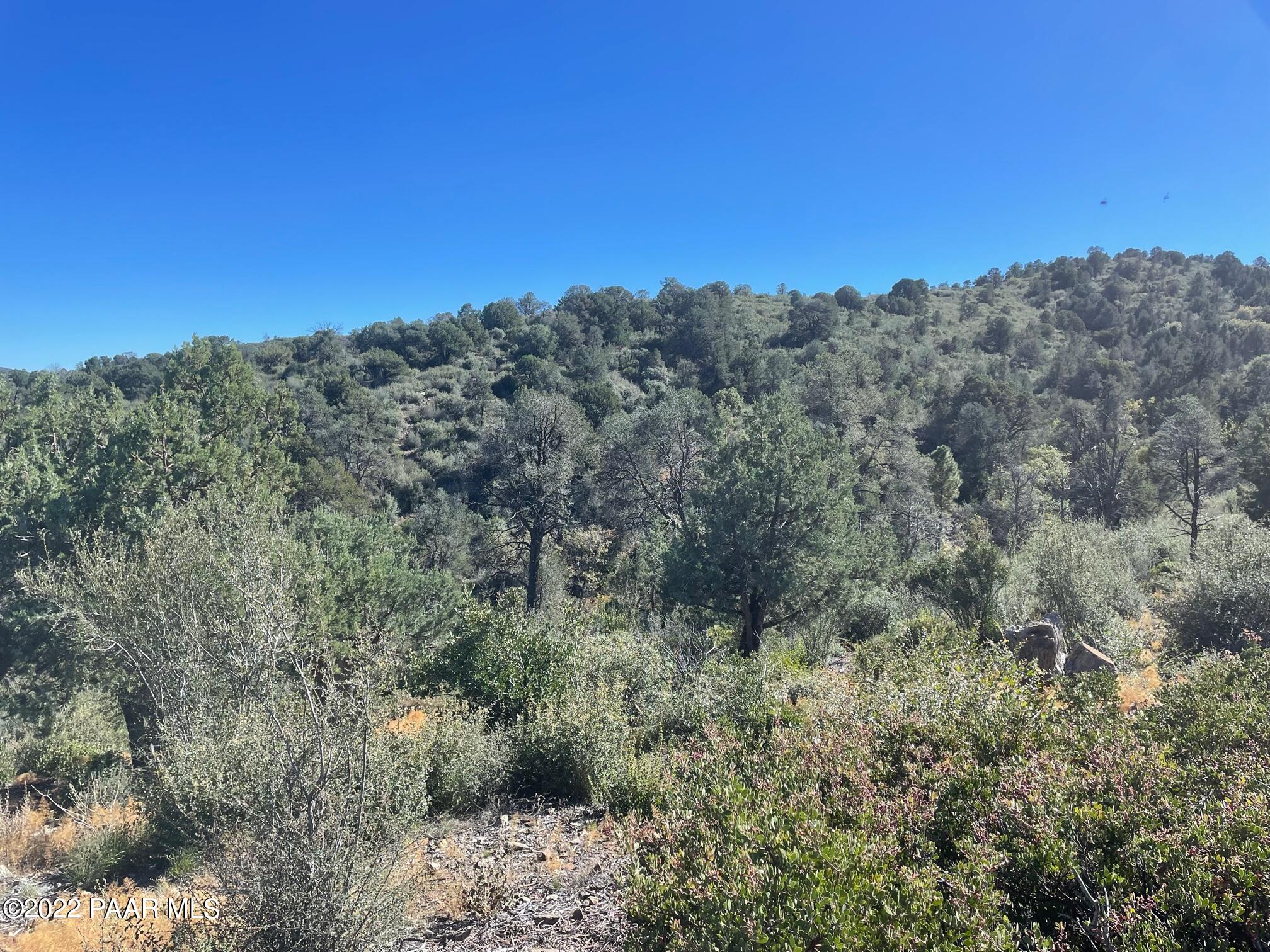 3184 Rainbow Ridge Drive Prescott, AZ 86303 - Photo 12 of 16 a view of a field