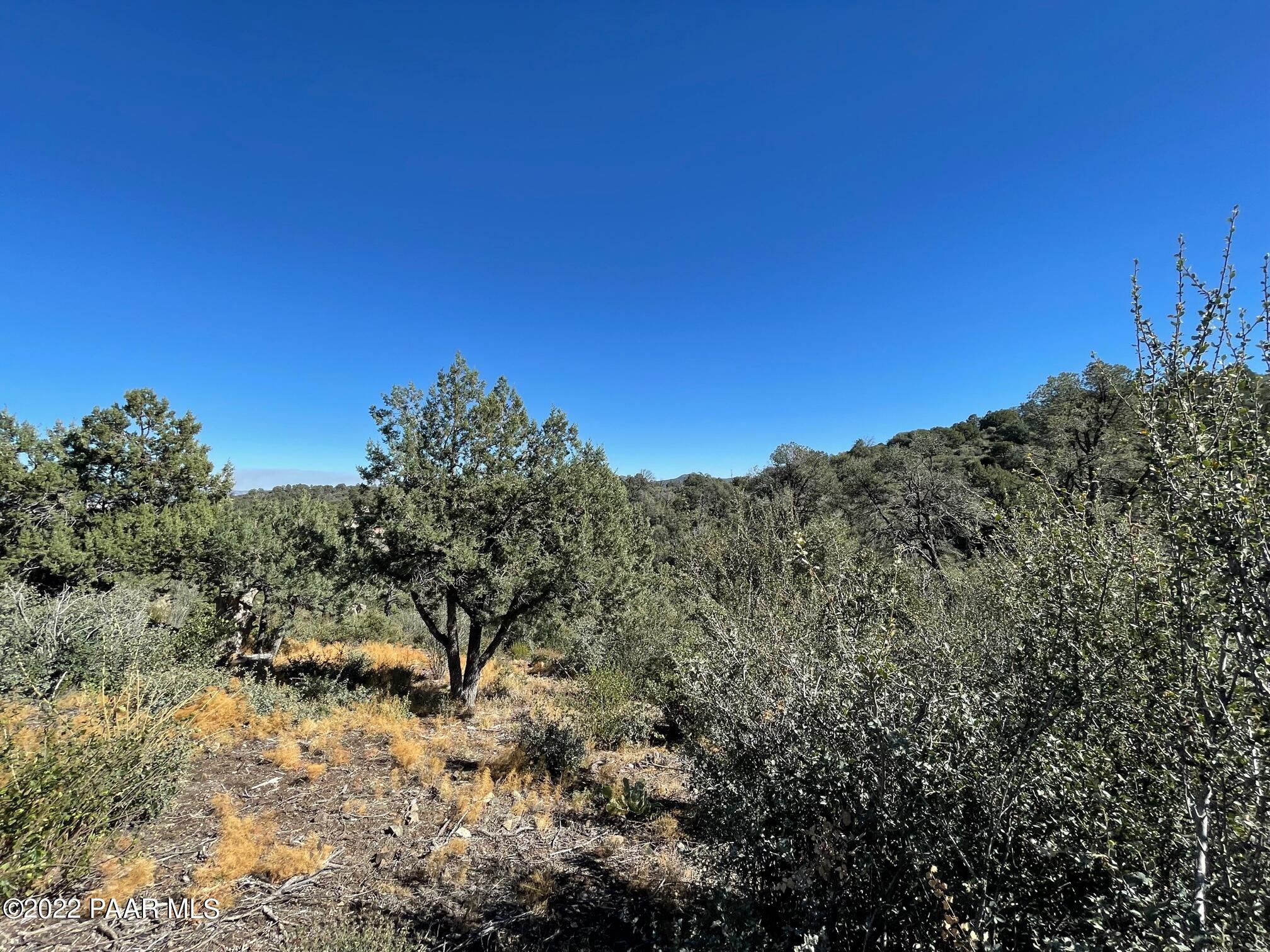 3184 Rainbow Ridge Drive Prescott, AZ 86303 - Photo 14 of 16 a view of a dry yard with trees in the background
