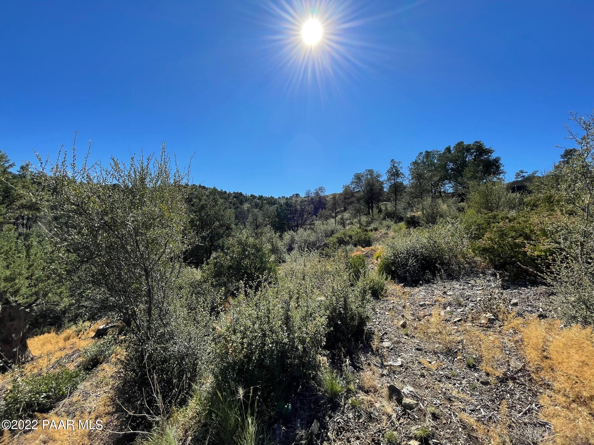 3184 Rainbow Ridge Drive Prescott, AZ 86303 - Photo 15 of 16 a view of a yard with a tree
