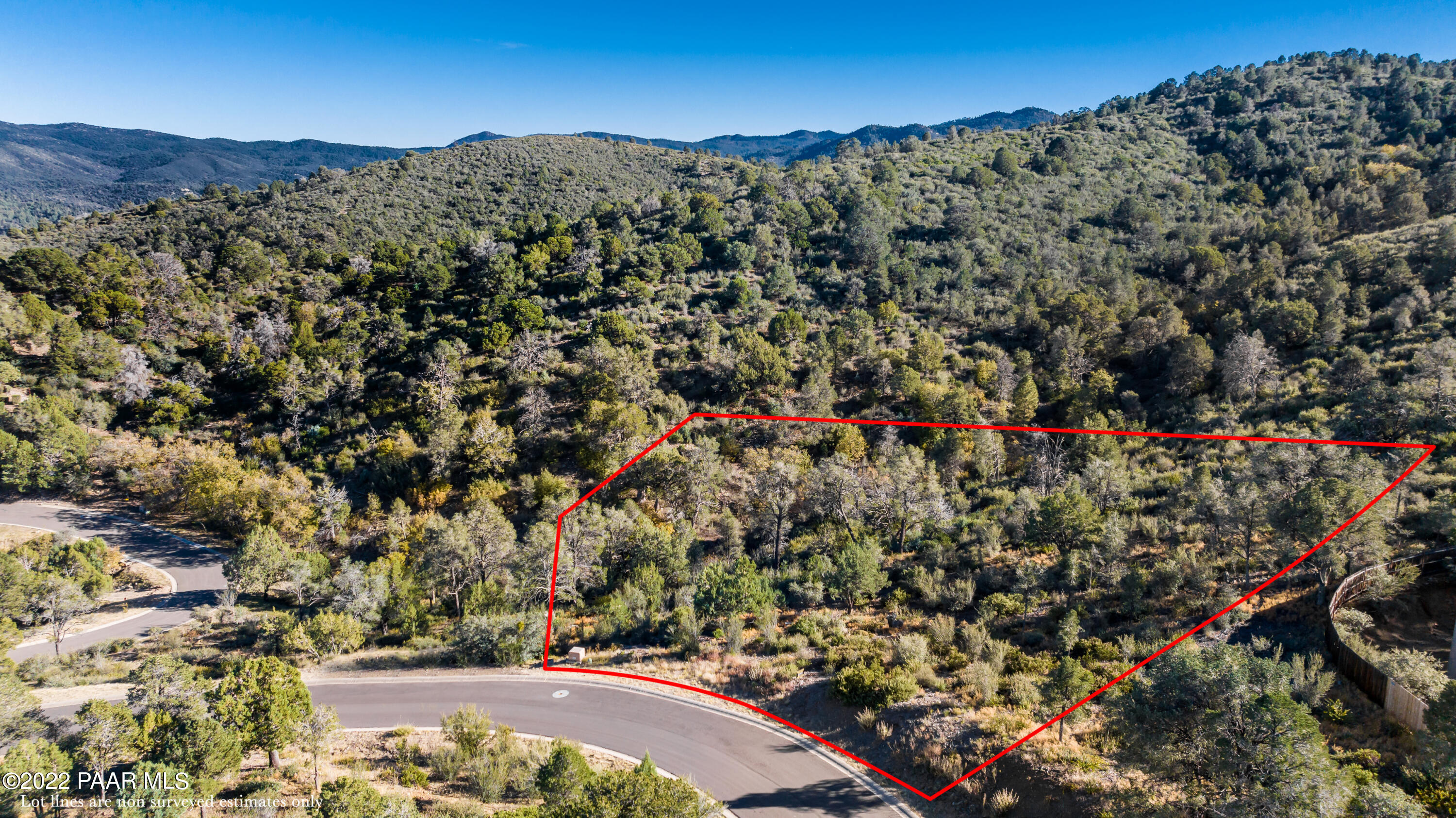 3184 Rainbow Ridge Drive Prescott, AZ 86303 - Photo 5 of 16 a view of a large tree