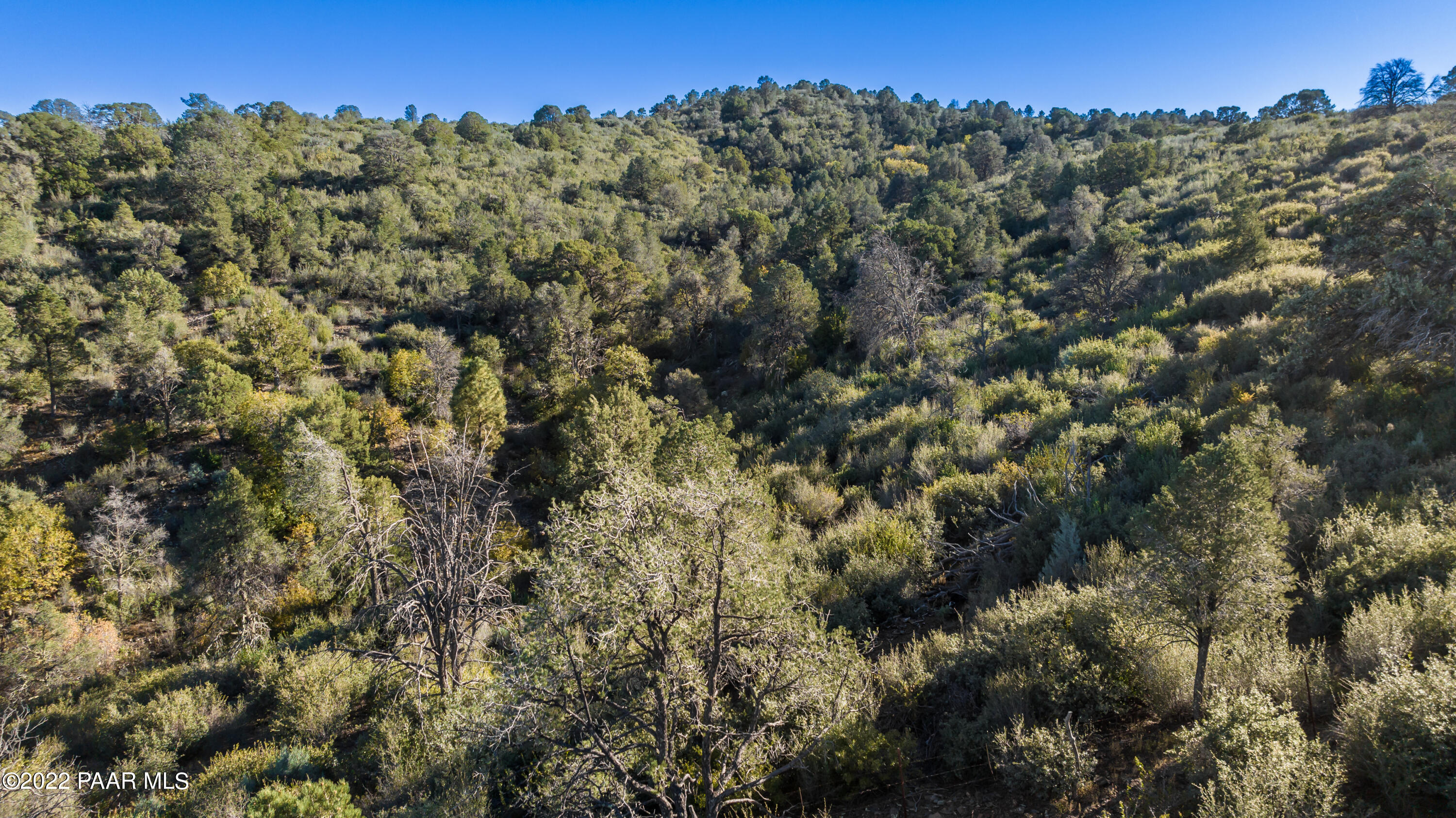 3184 Rainbow Ridge Drive Prescott, AZ 86303 - Photo 9 of 16 a view of a city