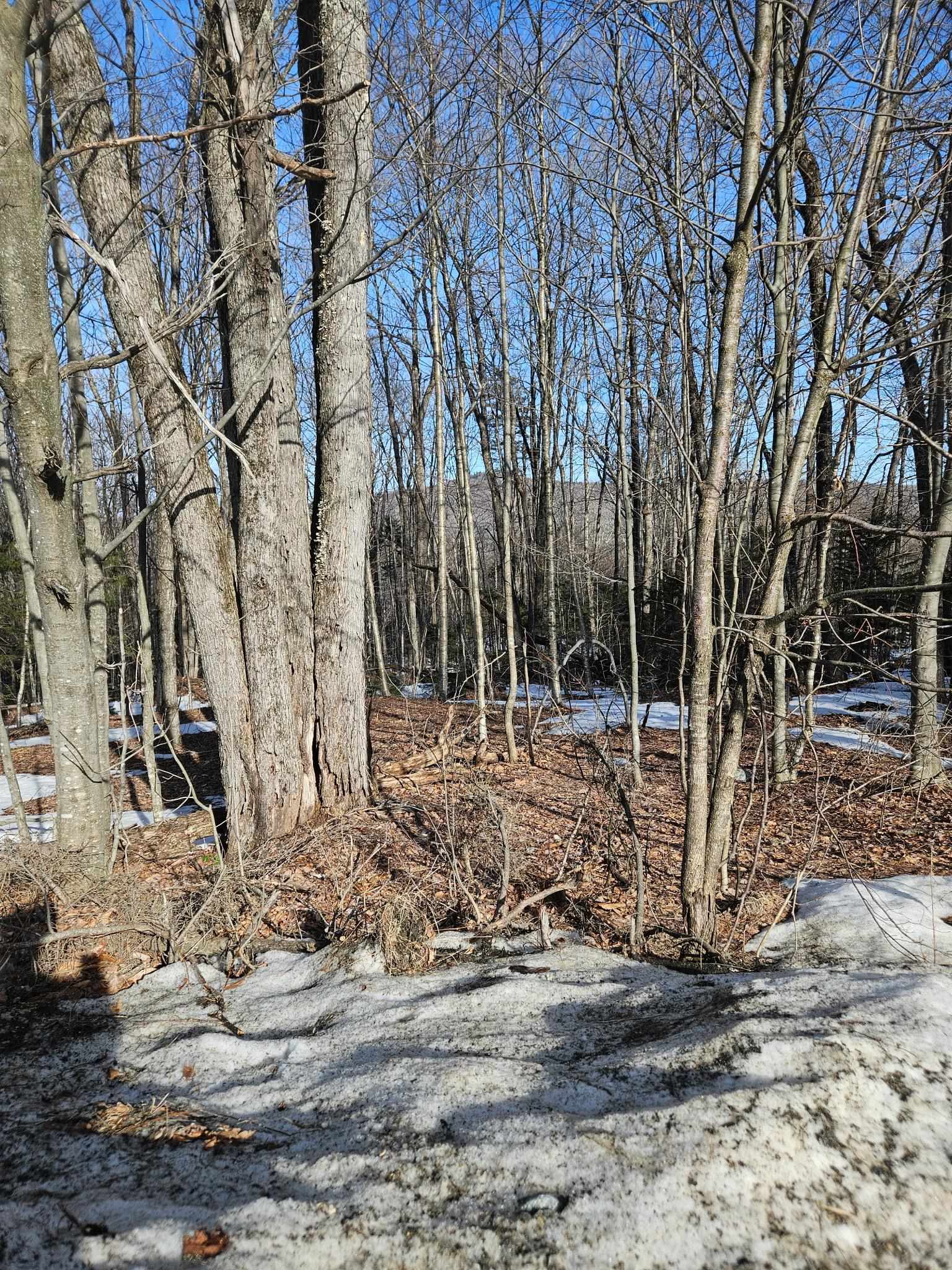 2 Johnson Hill Road West Dover, VT 05356 - Photo 5 of 7