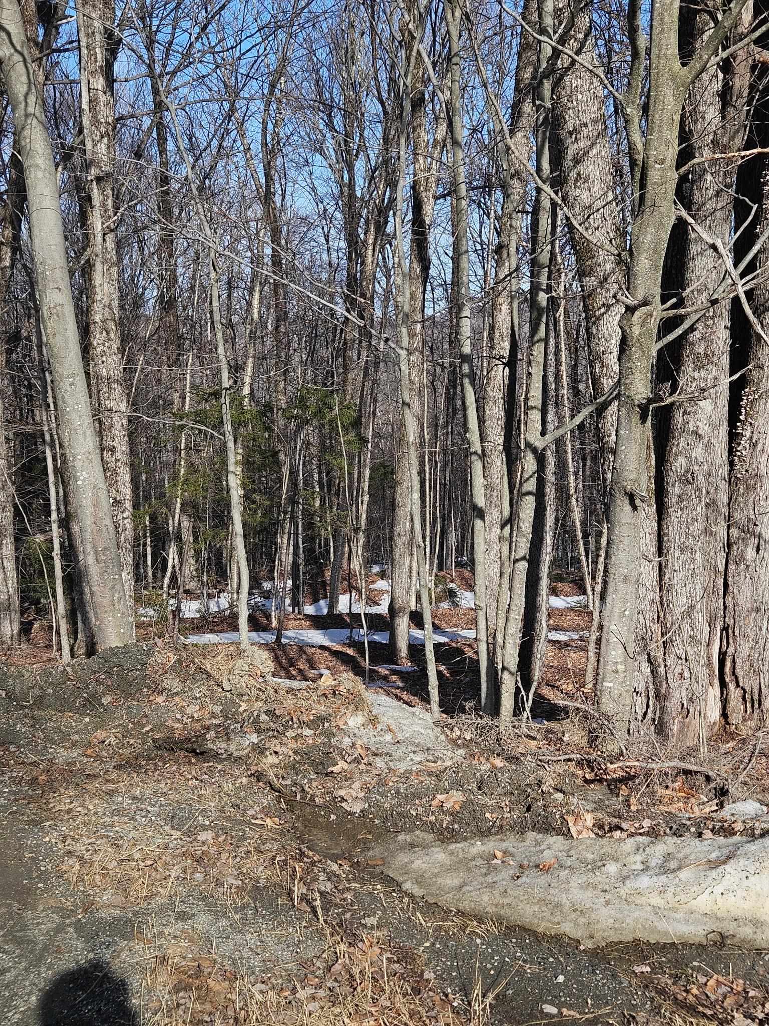 2 Johnson Hill Road West Dover, VT 05356 - Photo 7 of 7