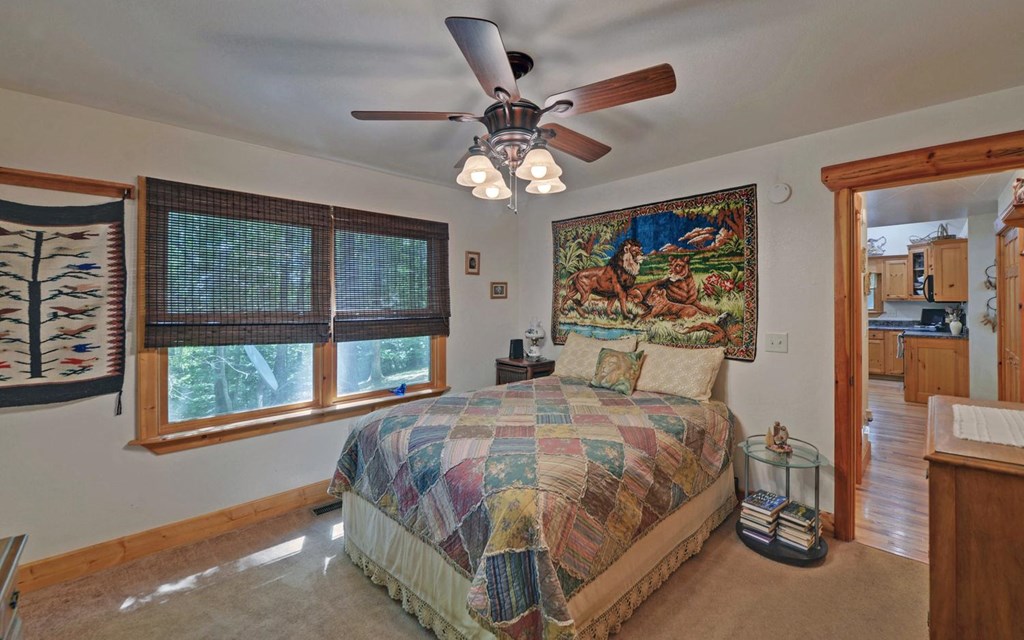164 Dew Drop Lane Murphy, NC 28906 - Photo 14 of 49