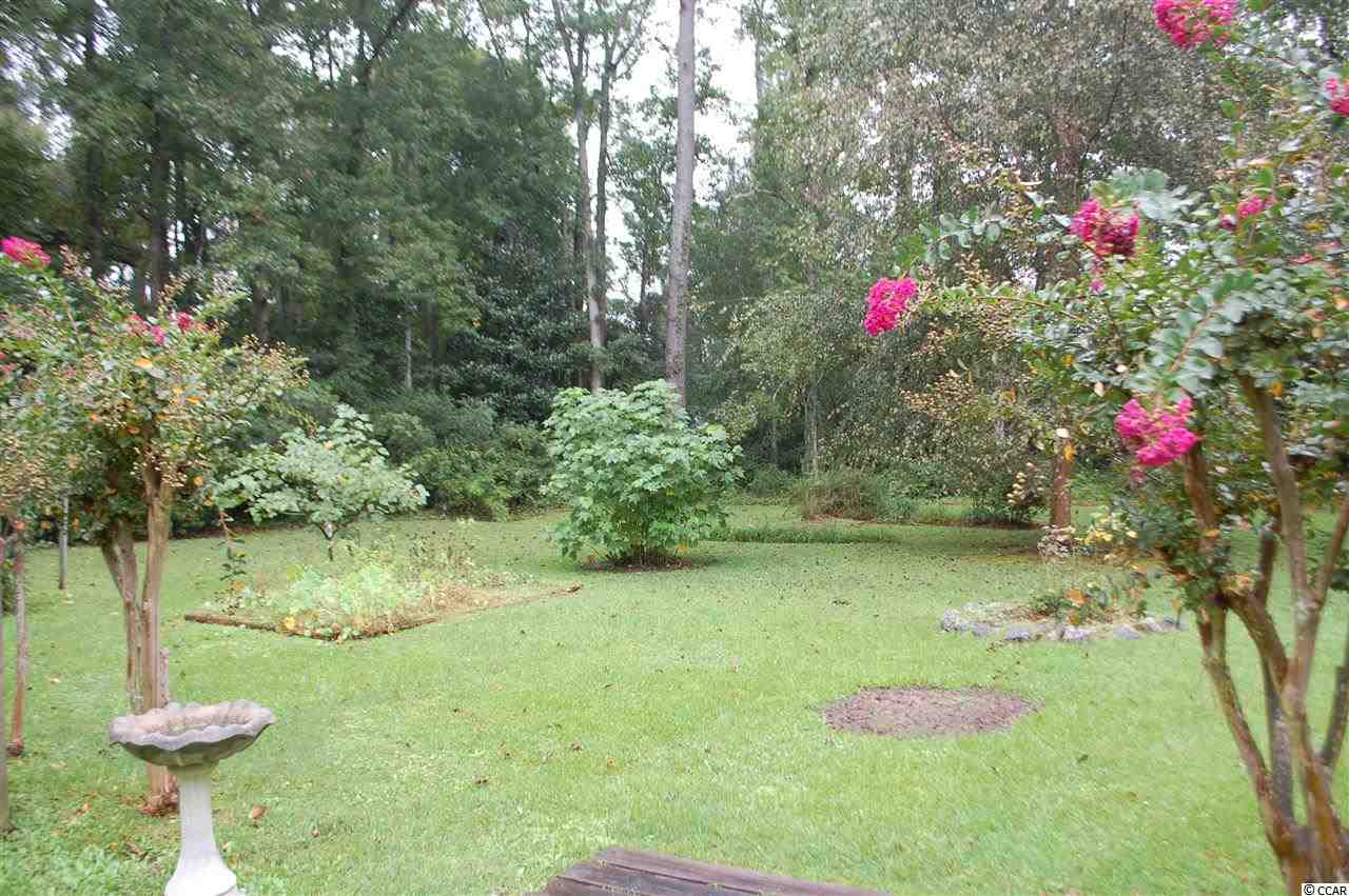 56 Forest Avenue Georgetown, SC 29440 - Photo 14 of 14 Gallery Image 14