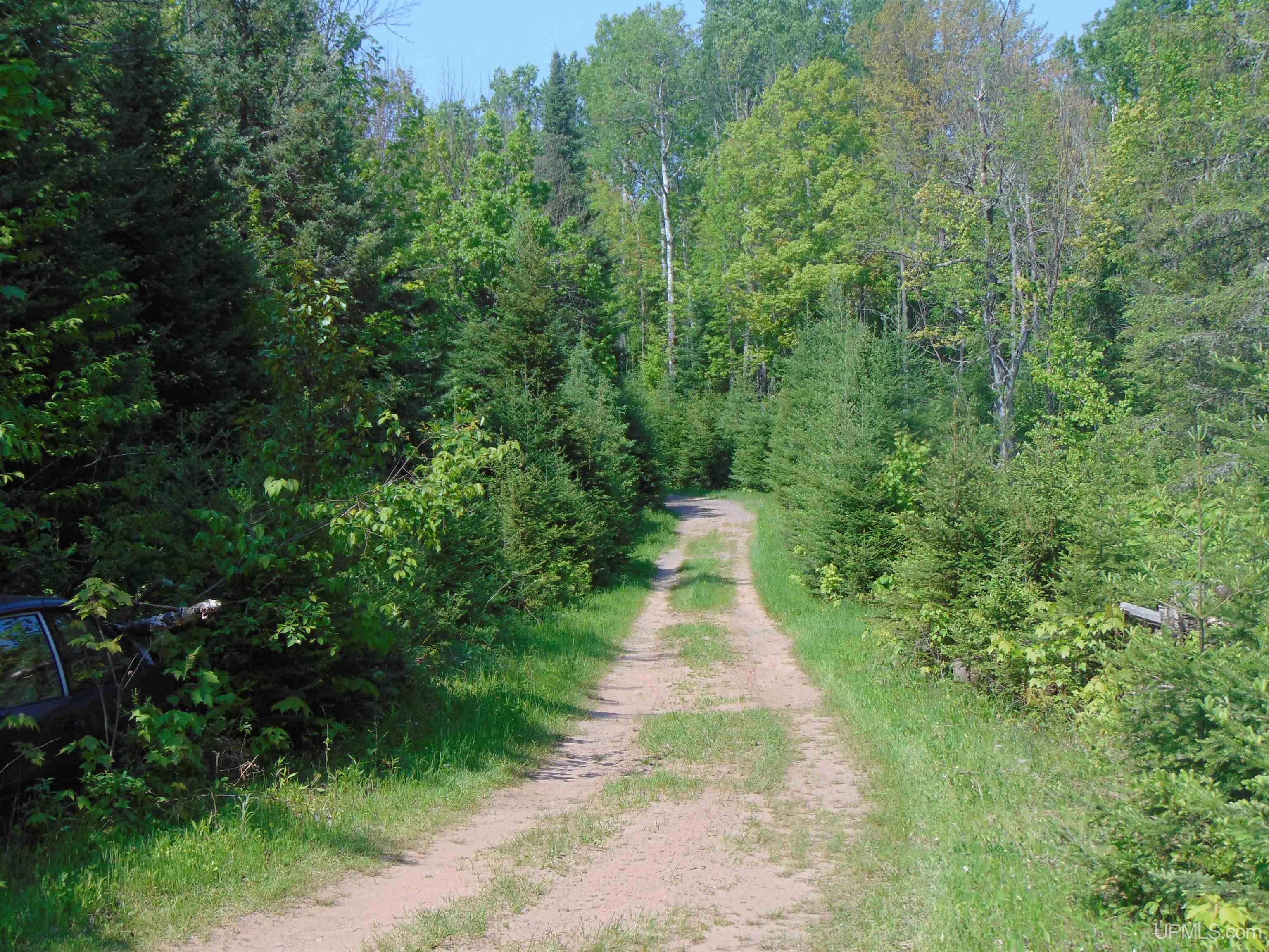 14571 Holombo Road Bruce Crossing, MI 49912 - Photo 16 of 30