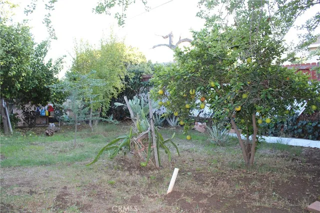 a childrens park with lots of trees