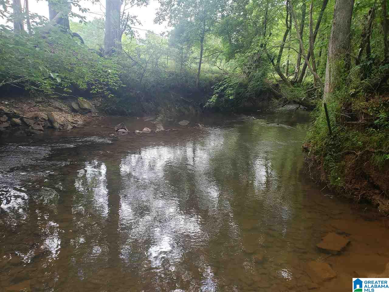 0 County Road 36 Heflin, AL 36264 - Photo 1 of 11