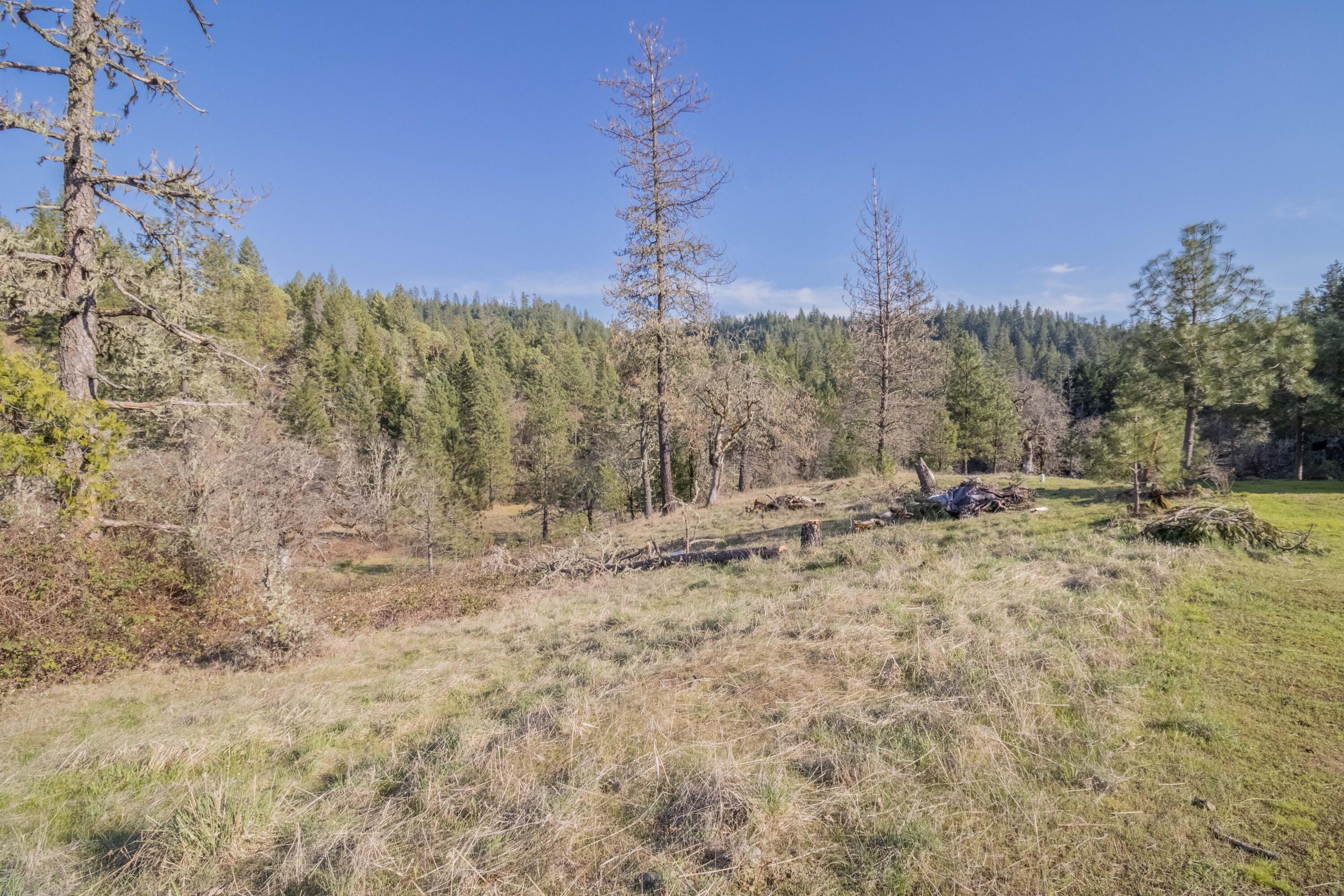 647 Gold Canyon Road Selma, OR 97538 - Photo 15 of 18 15