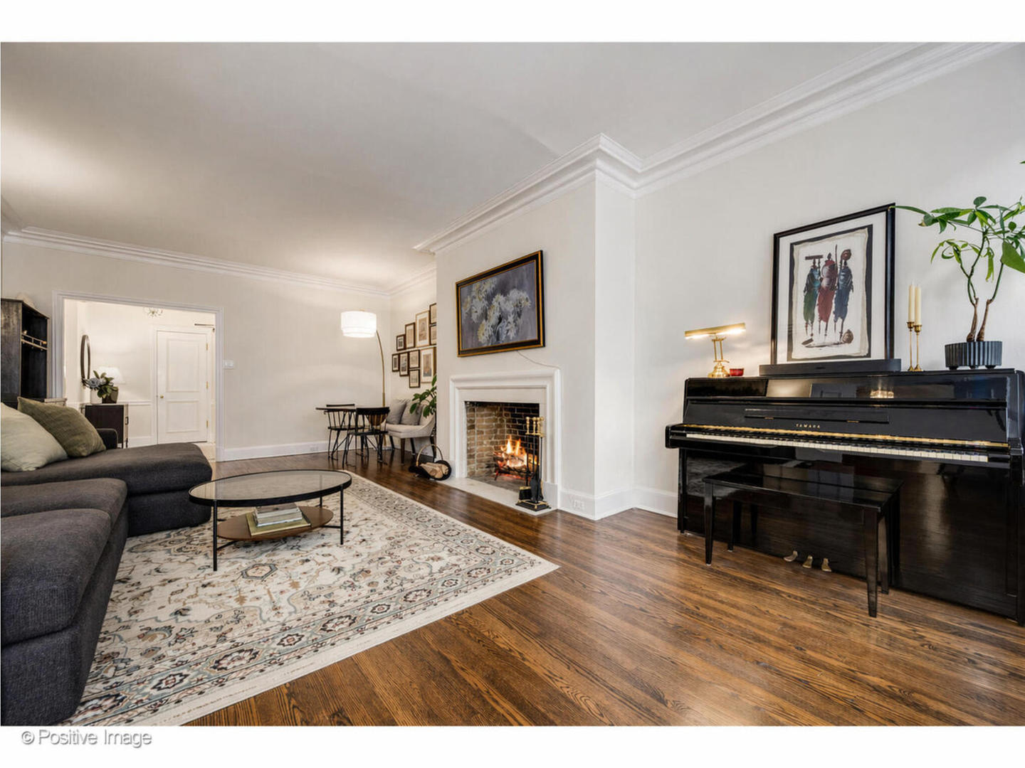 70 East Cedar Street, Unit 14WS Chicago, IL 60611 - Photo 5 of 20