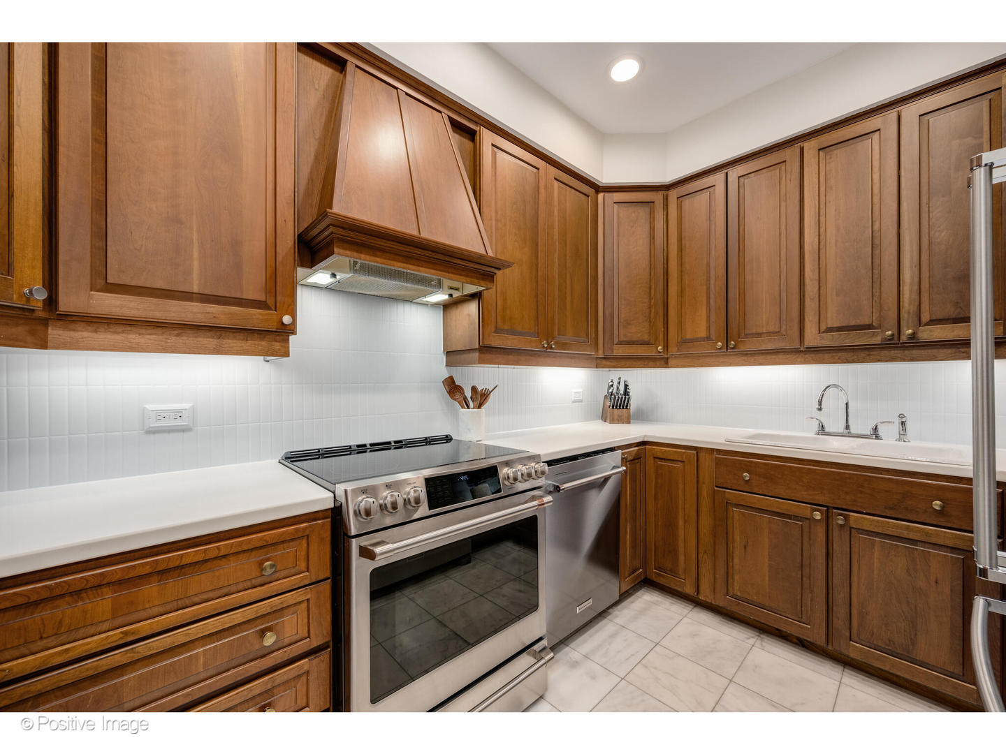 70 East Cedar Street, Unit 14WS Chicago, IL 60611 - Photo 9 of 20