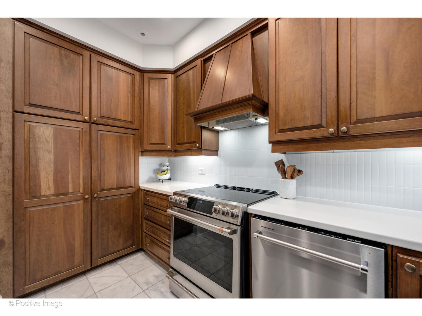 70 East Cedar Street, Unit 14WS Chicago, IL 60611 - Photo 10 of 20