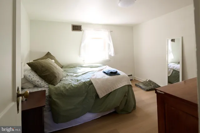 a view of a big yard next to a large tree