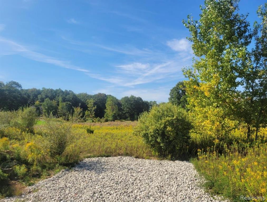 3681 Outback Trail Pinckney, MI 48169 - Photo 27 of 28