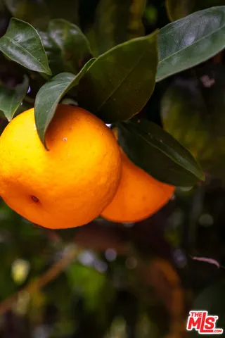 $2,099,000 | 6917 Solano Verde Drive, Somis, CA 93066