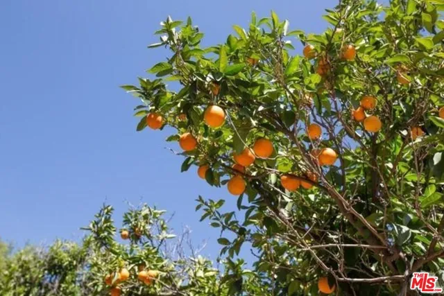 $2,099,000 | 6917 Solano Verde Drive, Somis, CA 93066