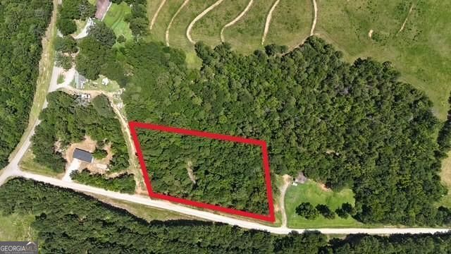 a view of a yard with flower plants