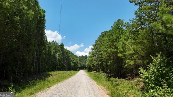 a view of a street with a trees