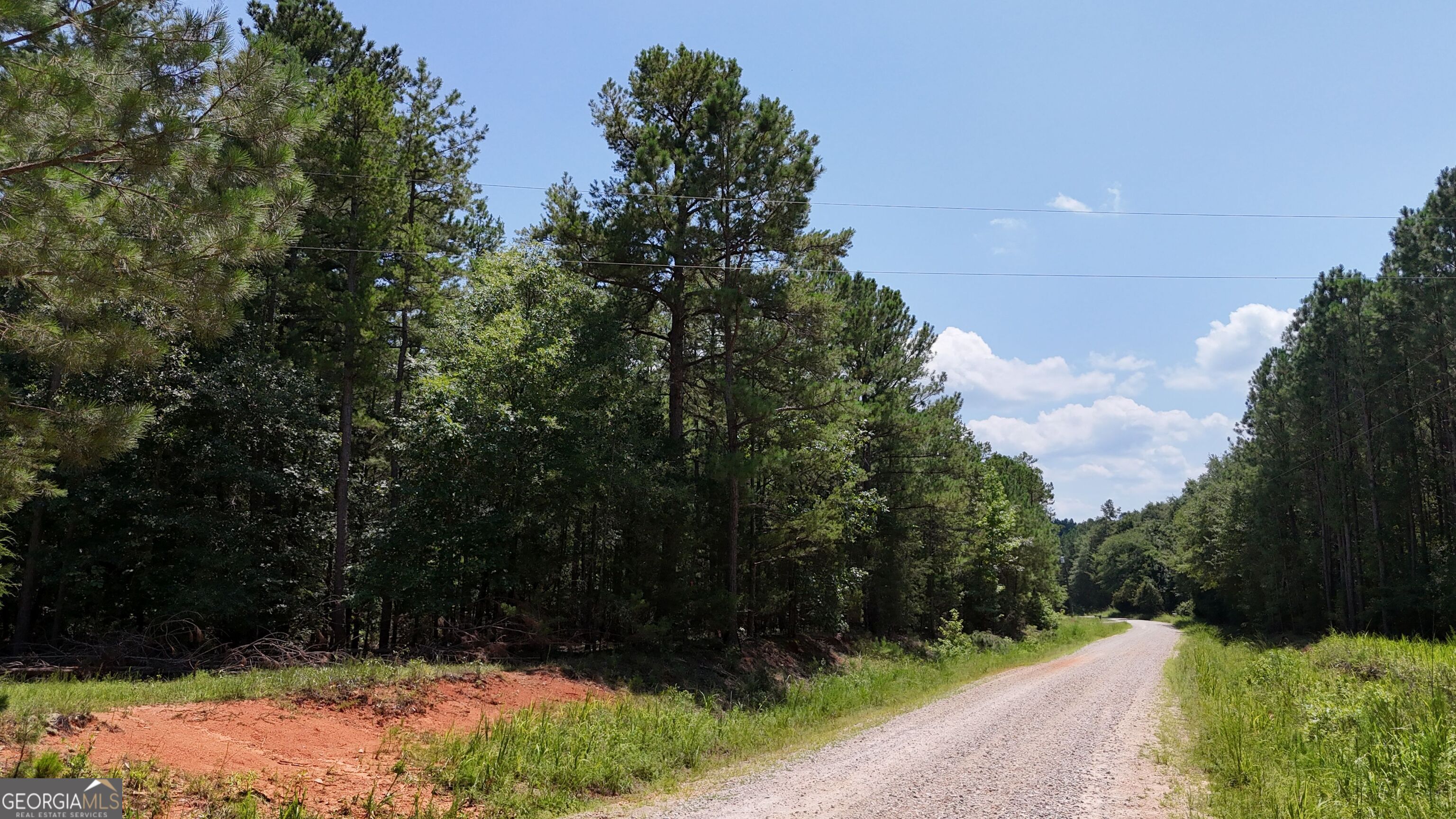 2128 Amberly Road Elberton, GA 30635 - Photo 18 of 26 a view of backyard with green space