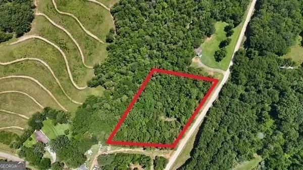 a view of a yard with plants