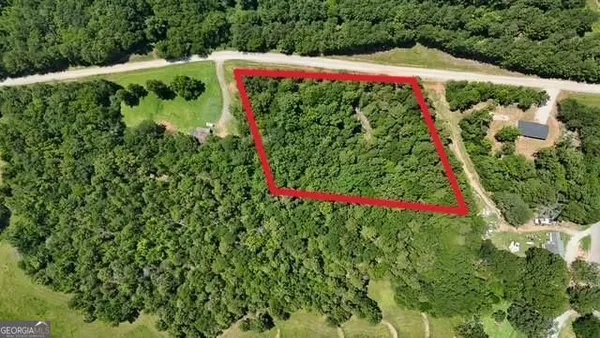 a view of a white house with a yard and potted plants