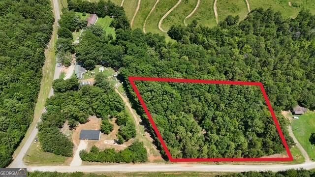 2128 Amberly Road Elberton, GA 30635 - Photo 5 of 26 a view of a yard with plants