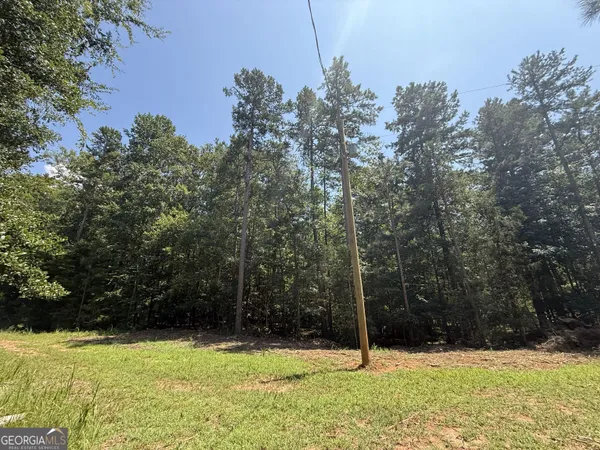 a view of yard with tree