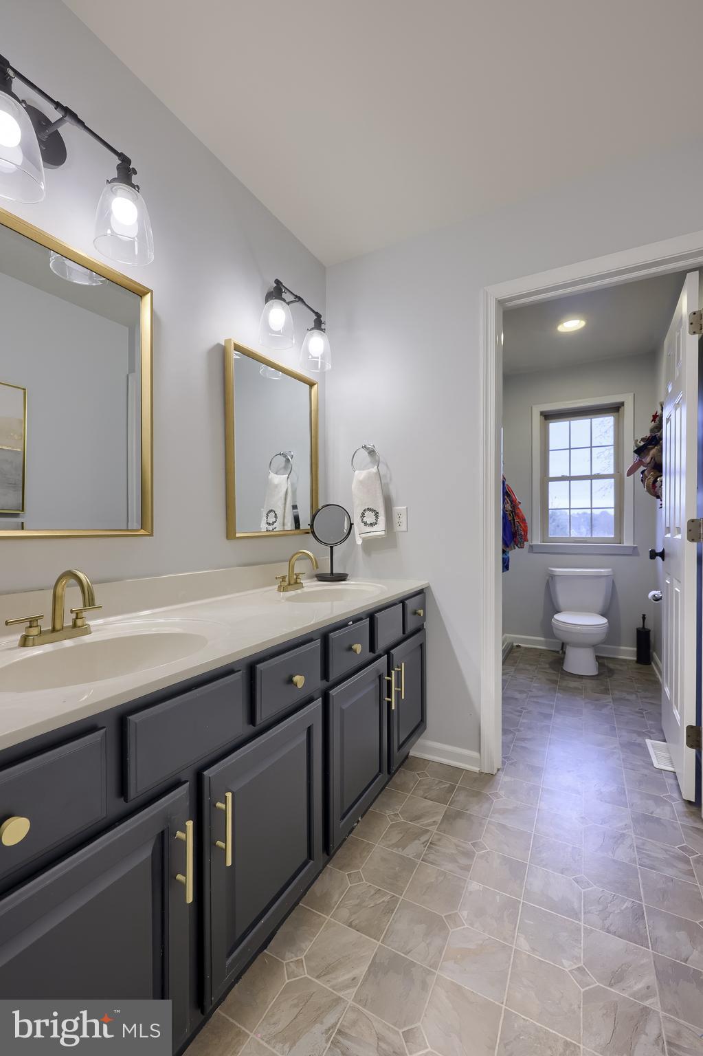 307 Bowyer Lane Lititz, PA 17543 - Photo 50 of 64 a spacious bathroom with a double vanity sink and a mirror