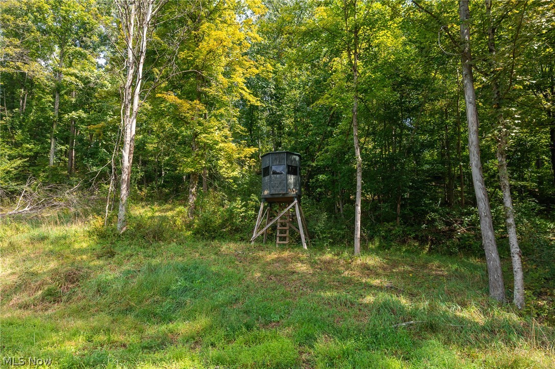27339 Tabor Ridge Road, Unit 2 Caldwell, OH 43724 - Photo 8 of 50 Gallery Image 8
