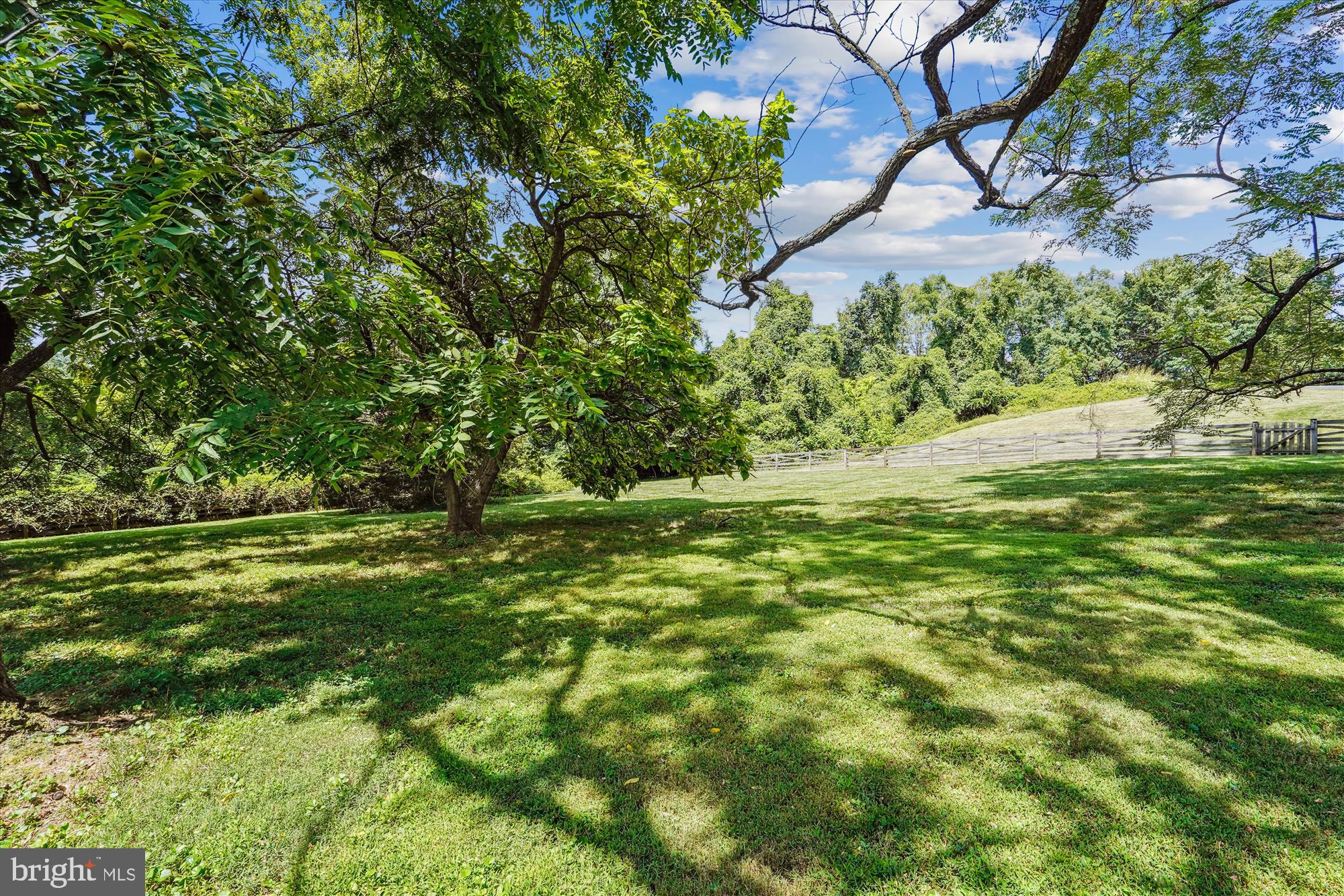 6975 Idylwood Road Falls Church, VA 22043 - Photo 63 of 67 Huge Lot