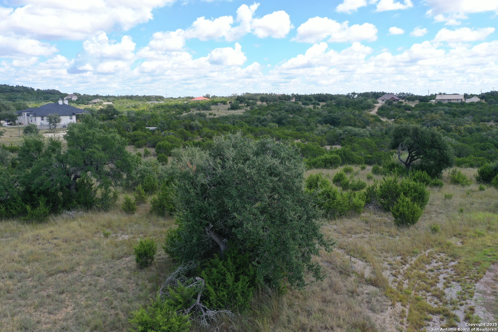 534 Rock Trail Place Spring Branch, TX 78070 - Photo 11 of 27 a view of a forest with a street