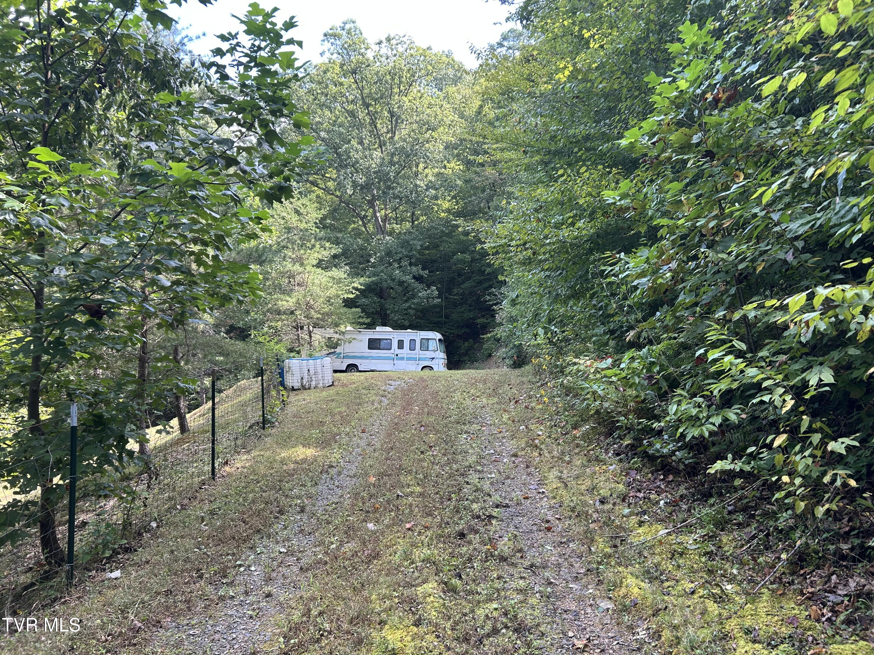 IMG_0403