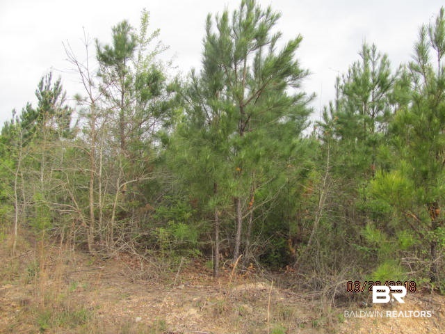 0 Barlow Road Millry, AL 36558 - Photo 3 of 3
