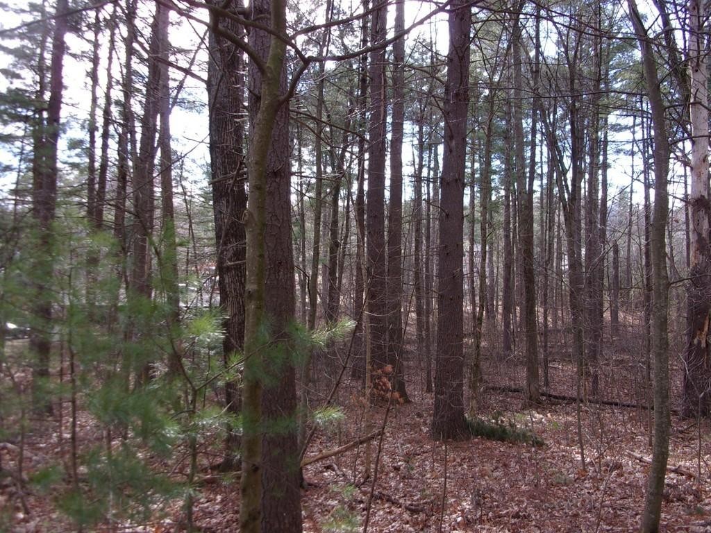 0 Beaver Road Ware, MA 01082 - Photo 11 of 15 Gallery Image 11