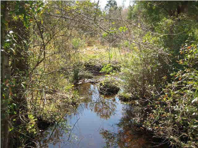 4066 Coachman Road Milton, FL 32583 - Photo 7 of 13