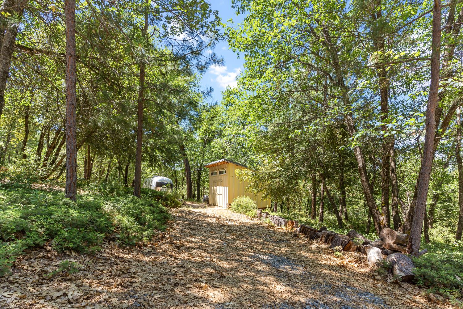 2640 Trail Gulch Road Placerville, CA 95667 - Photo 5 of 37 a view of a house with a tree