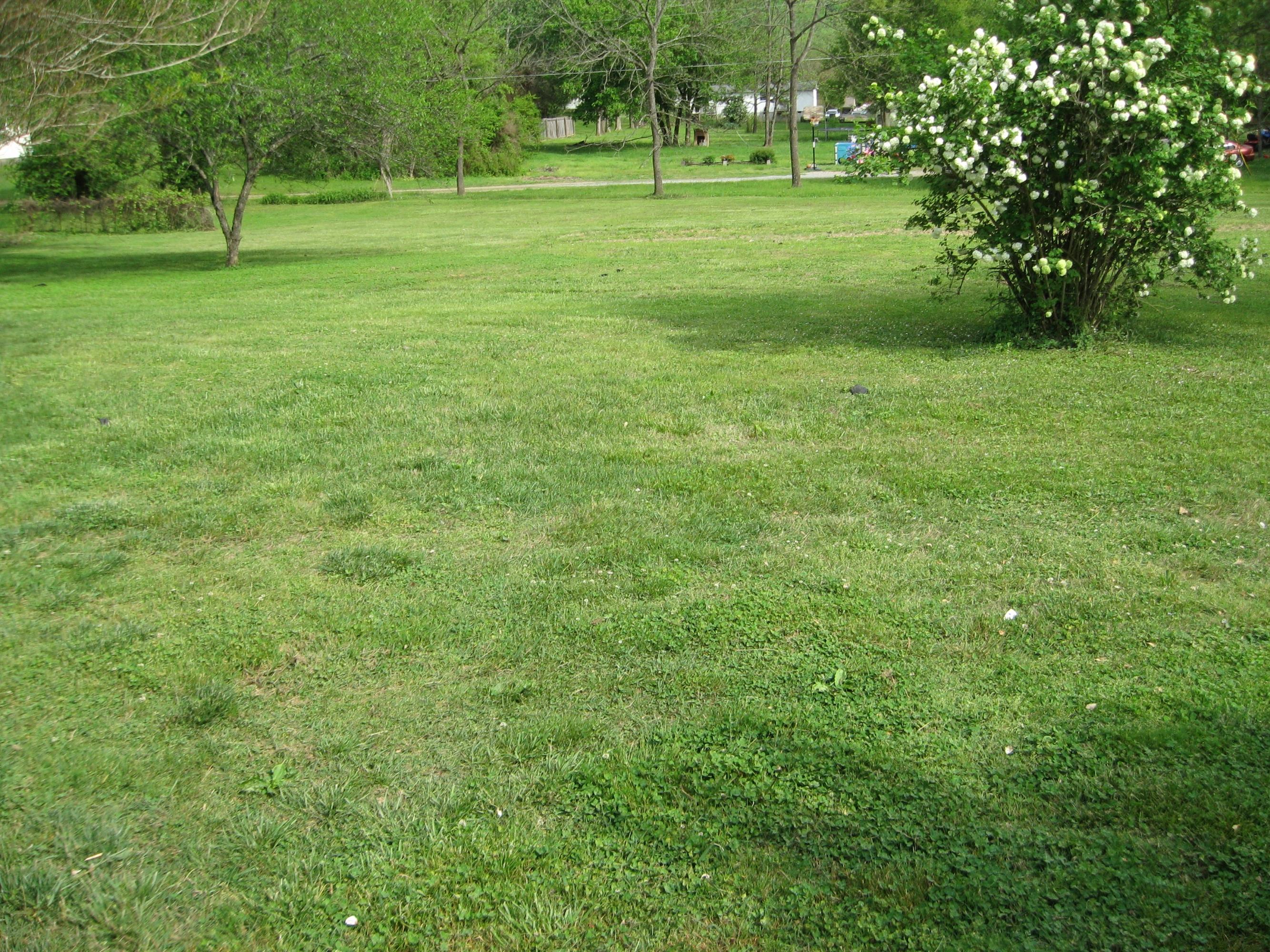 413 Ridgeview Drive Clinton, TN 37716 - Photo 15 of 15 IMG_0390