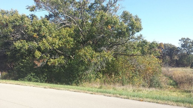 0 Rogene Drive Oregon, IL 61061 - Photo 3 of 12