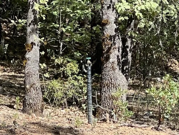 $62,000 | 9208 Diamond Dust Trail, Kelseyville, CA 95451