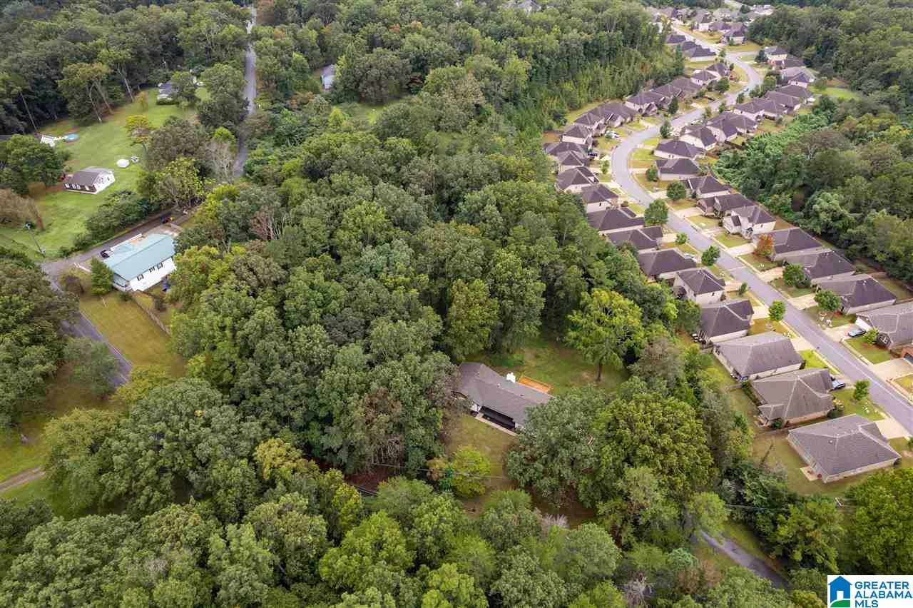 5525 Dewey Heights Road Pinson, AL 35126 - Photo 34 of 40