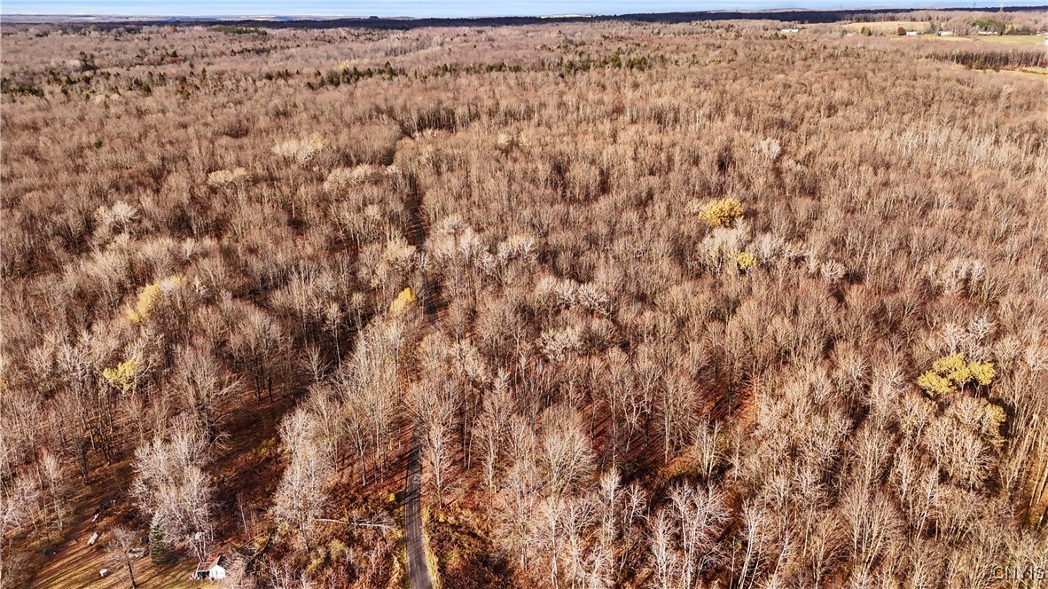 8483 Edwards Road Floyd, NY 13354 - Photo 46 of 49