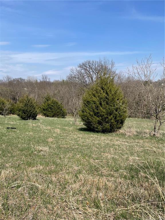34829 State Highway Guilford, MO 64457 - Photo 16 of 18