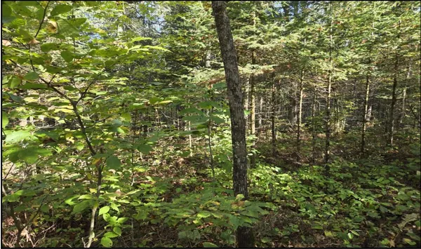 $258,000 | Tbd Smith Road, Couderay, WI 54828