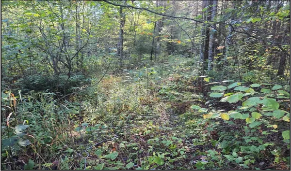 $258,000 | Tbd Smith Road, Couderay, WI 54828
