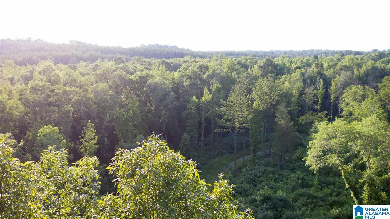 180 Gibson Road, Unit 76 / ACRES OFF GIBSON R Columbiana, AL 35051 - Photo 15 of 50