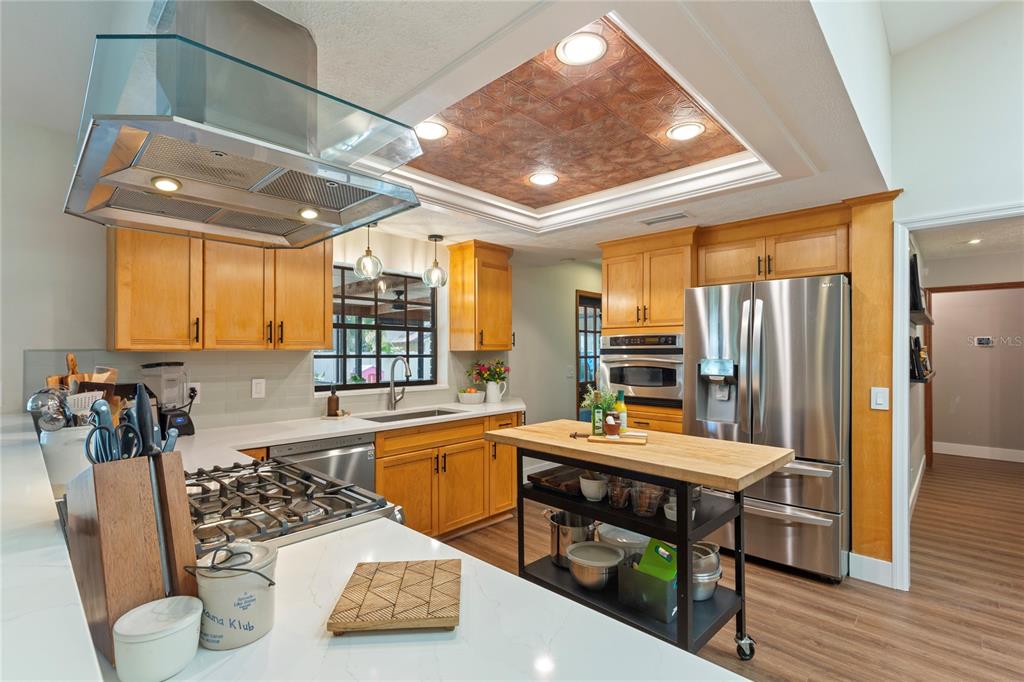 2941 Chelsea Woods Drive Valrico, FL 33596 - Photo 11 of 48 a kitchen with stainless steel appliances granite countertop a stove and a refrigerator