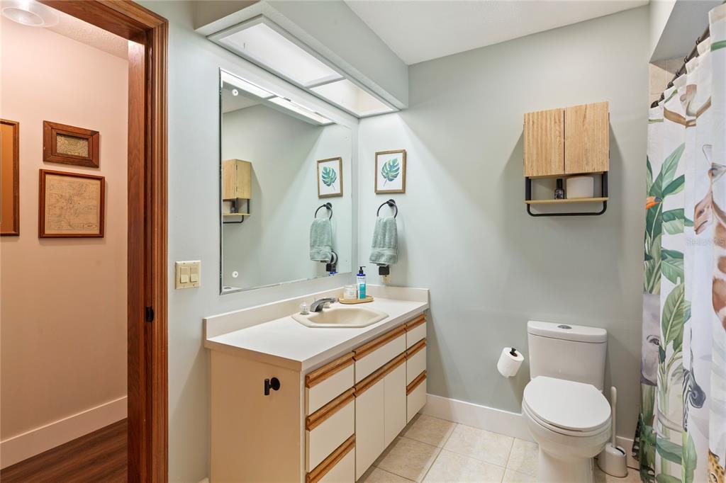 2941 Chelsea Woods Drive Valrico, FL 33596 - Photo 28 of 48 a bathroom with a sink toilet and mirror