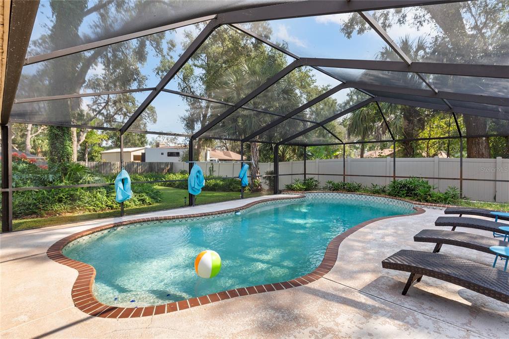 2941 Chelsea Woods Drive Valrico, FL 33596 - Photo 35 of 48 a view of a swimming pool with a patio